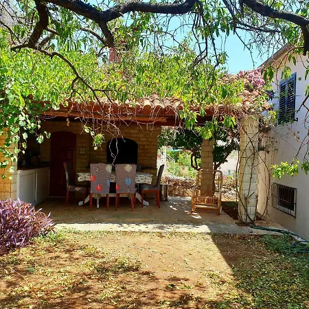 Lägenhet Olive Tree Milna (Brac)